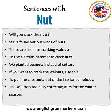 Nuts Example In Sentence