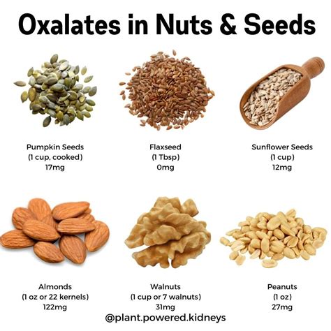 Nuts With High Oxalate Content