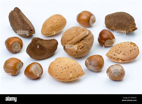 Nuts With Holes In Shell