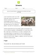 Grundschulblog_Indianderhefte_Sachunterricht_Bauernhoftiere_1_2_Seite_8 GrundschulBlog