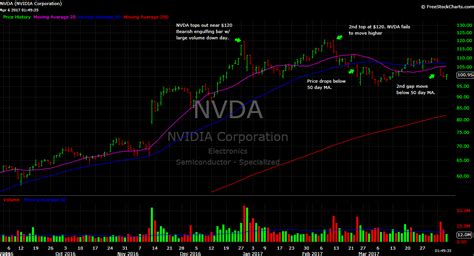 nvda stock price chart