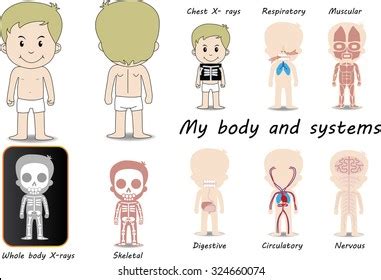 Effortless Healthcare Management: Access NW My Chart Today