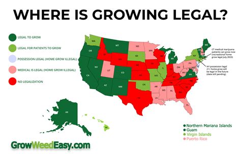 ny cannabis home grow laws