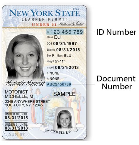 ny state learner permit