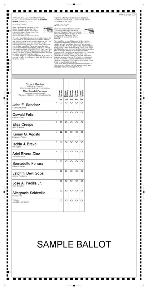 ny voting ballot sheet