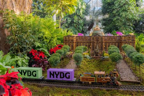 NYBG is Restoring its Palm Dome SkoutTravel