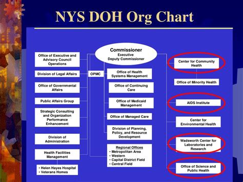 nyc doh org chart