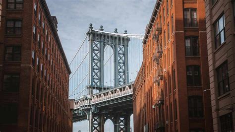 nyc violation search