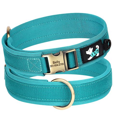 Nylon Dog Collar Padded