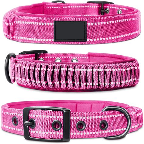 nylon dog collar with handle