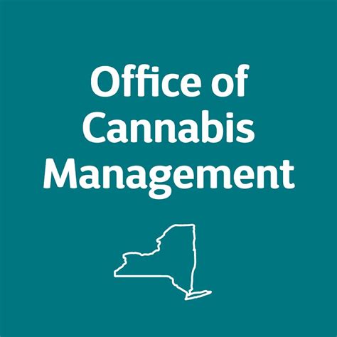 nys cannabis management jobs