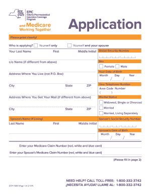nys epic application form