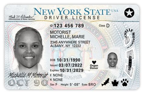 nys real id driver's license