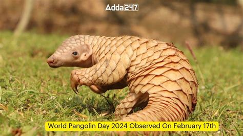 nytimes world pangolin day