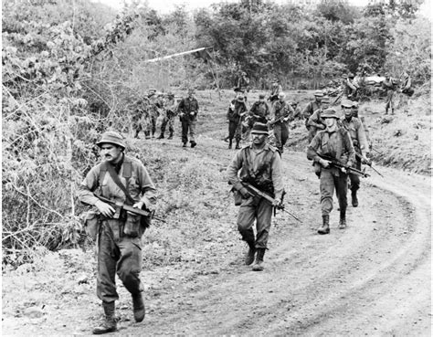 nz soldiers in vietnam