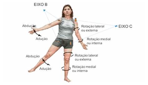 Os principais movimentos do corpo