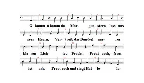 O komm, o komm, du Morgenstern - Choralvorspiel, Op.1.21 by M. Merkel
