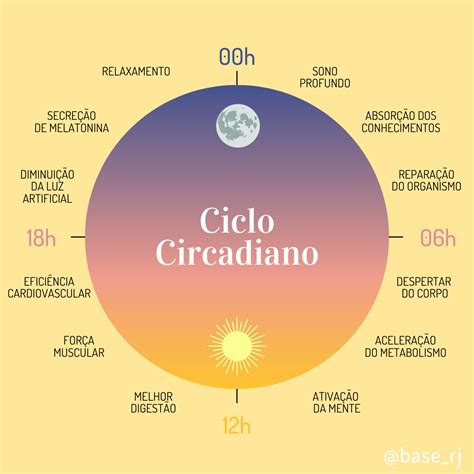 o que é 1 ciclo