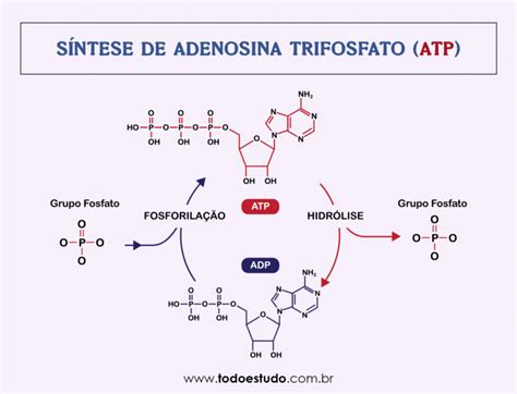 o que o atp faz