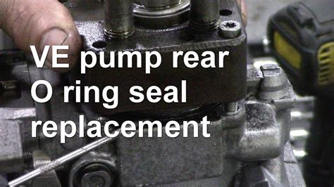 O Ring Seal Replacement