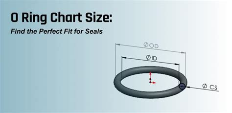 O Ring Sizing Calculator
