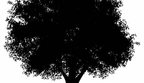 Beautiful brown oak tree silhouette isolated Vector Image