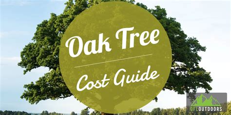 Oak Tree Cost