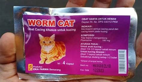 AMPUH! Inilah Obat Cacing Untuk Kucing - Radar Group