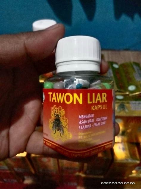 obat herbal tawon hutan