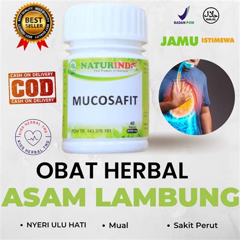 Obat Asam Lambung Herbal: Solusi Alami Untuk Mengatasi Masalah Asam Lambung