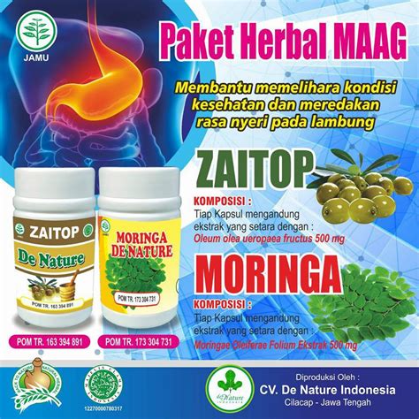 Jual Obat Herbal Maag & Asam Lambung Walatra GSea Jelly Gamat Original