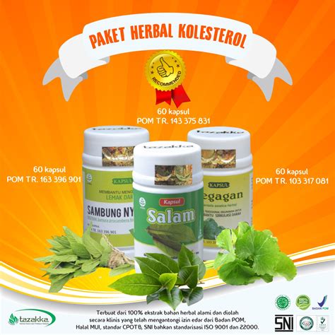 Obat Herbal Kolesterol Tinggi: Solusi Sehat Mengatasi Kolesterol Tinggi