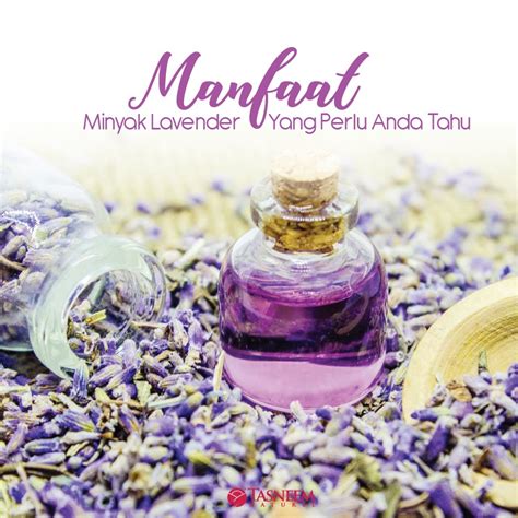 Obat Herbal Minyak Lavender