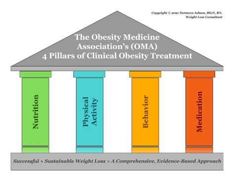 obesity medicine association pillars