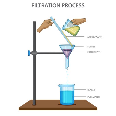 Objectives Of Water Filtration Experiment
