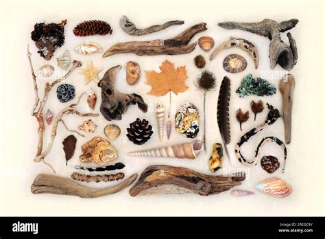 Objects In Nature