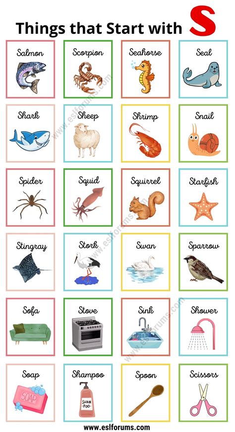 Objects That Start With S For Kindergarten