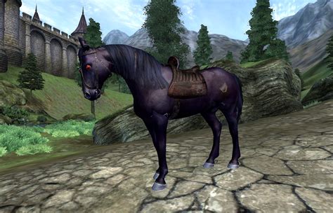 oblivion is shadowmere immortal