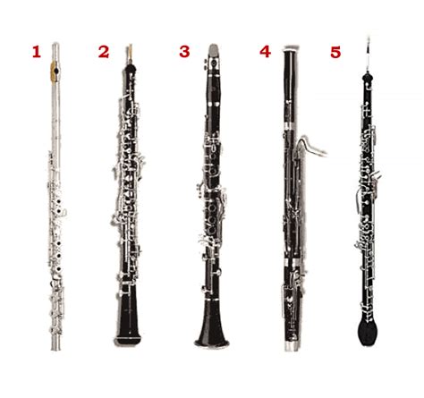 Oboe Vs Clarinet Vs Flute