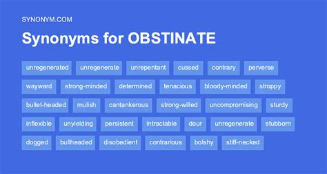 obstinate synonym