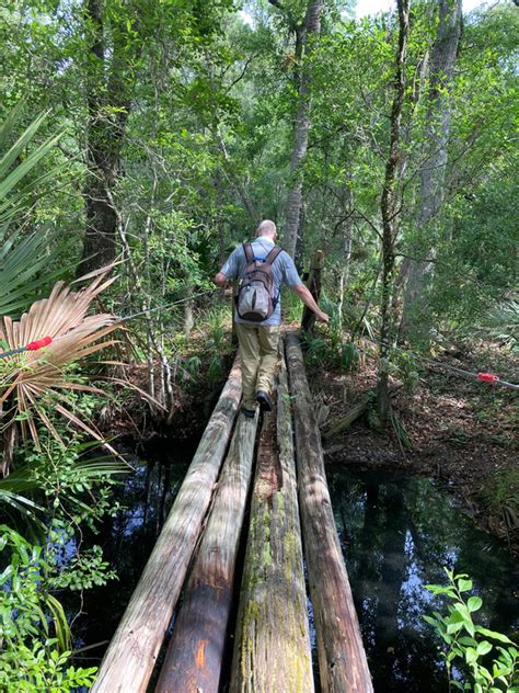 Juniper run, Ocala national forest Ocala national forest, Florida