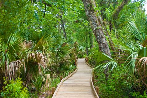 Hiking The Florida Trail in Ocala National Forest YouTube