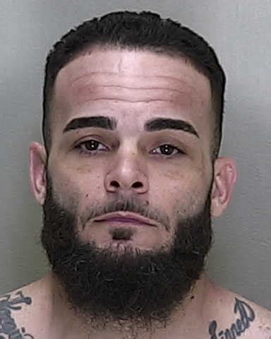 ocala mugshots.com