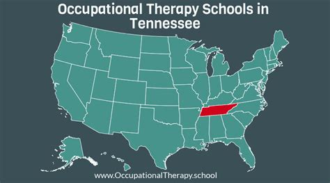 Tennessee Occupational Therapy Programs