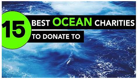 Donate Now | Ocean Conservancy