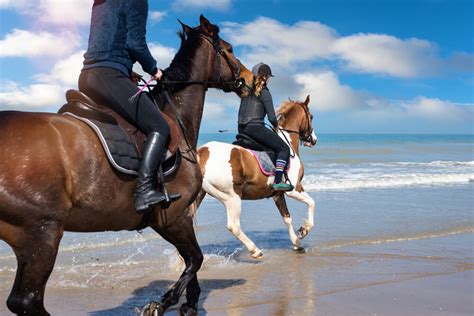 Spend a Romantic Day Horseback Riding in Ocean Shores The Polynesian