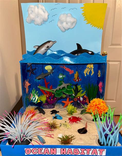 Ocean Habitat Activities