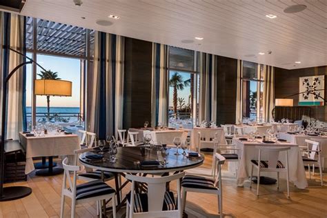 Unlock the Secrets of Ocean Hai: A Deep Dive into Marine Wonders