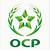 ocp group revenue