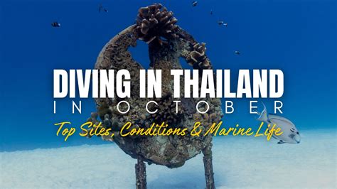 October Diving Season